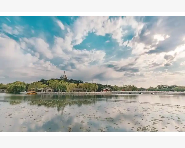 中医药中的补气补血药材及其功效