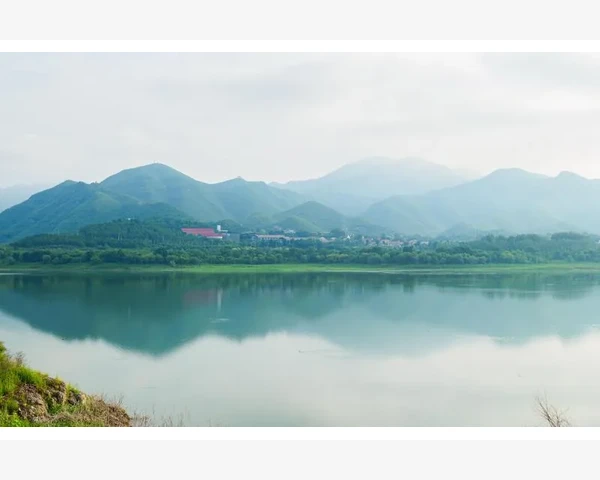 中医药中补气补血效果较好较快不上火的药物