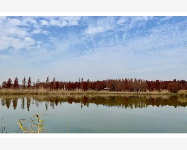 气血不足的中药方子：调理体质，重拾健康之路
