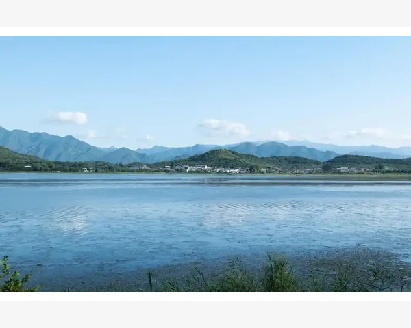 刮痧祛疙瘩，中医科普告诉你正确处理方法