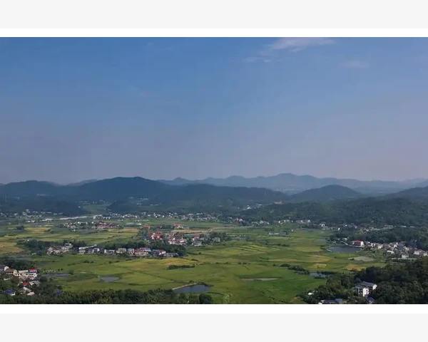 注会会计股份支付核心要点与实务操作