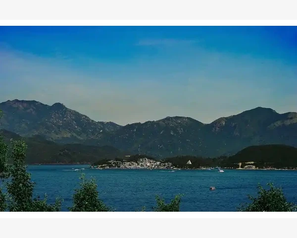 生姜泡米酒：温暖你的寒冬，舒缓你的寒症